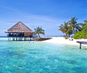 海外用ポケットWiFiレンタルランキング